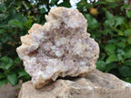 Natural Pale Amethyst Clusters x 2 From Zambia - Toprock Gemstones and Minerals 