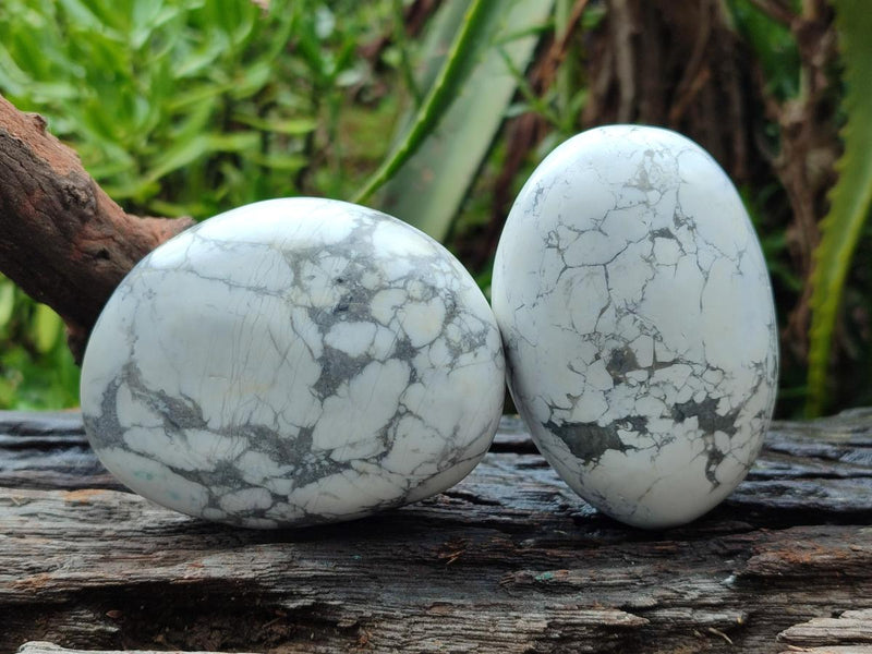 Polished Lightning Strike Howlite Palm Stones x 6 From Zimbabwe - Toprock Gemstones and Minerals 