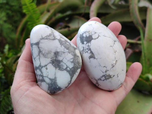 Polished Lightning Strike Howlite Palm Stones x 6 From Zimbabwe - Toprock Gemstones and Minerals 