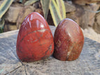 Polished Red Jasper Standing Display Pieces x 4 From Madagascar - Toprock Gemstones and Minerals 
