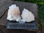 Natural Limonite Cactus Flower Spirit Quartz Crystals and Clusters x 12 From Boekenhouthoek, South Africa - Toprock Gemstones and Minerals 