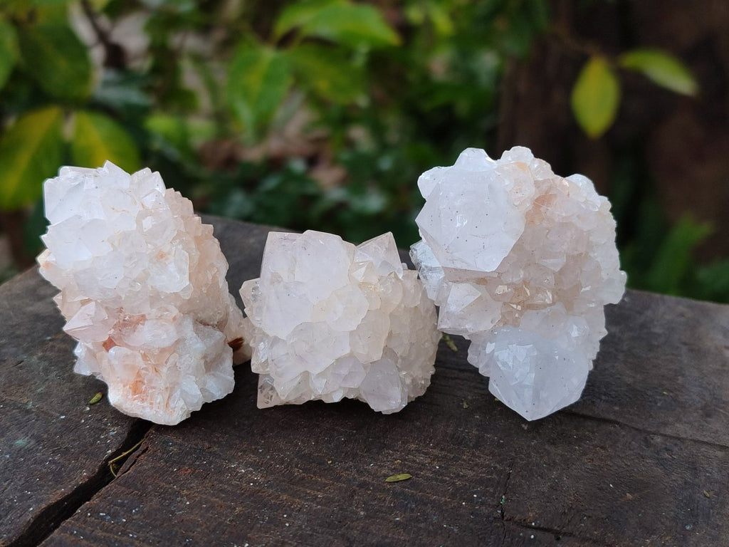 Natural Limonite Cactus Flower Spirit Quartz Crystals and Clusters x 12 From Boekenhouthoek, South Africa - Toprock Gemstones and Minerals 