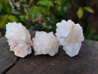Natural Limonite Cactus Flower Spirit Quartz Crystals and Clusters x 12 From Boekenhouthoek, South Africa - Toprock Gemstones and Minerals 