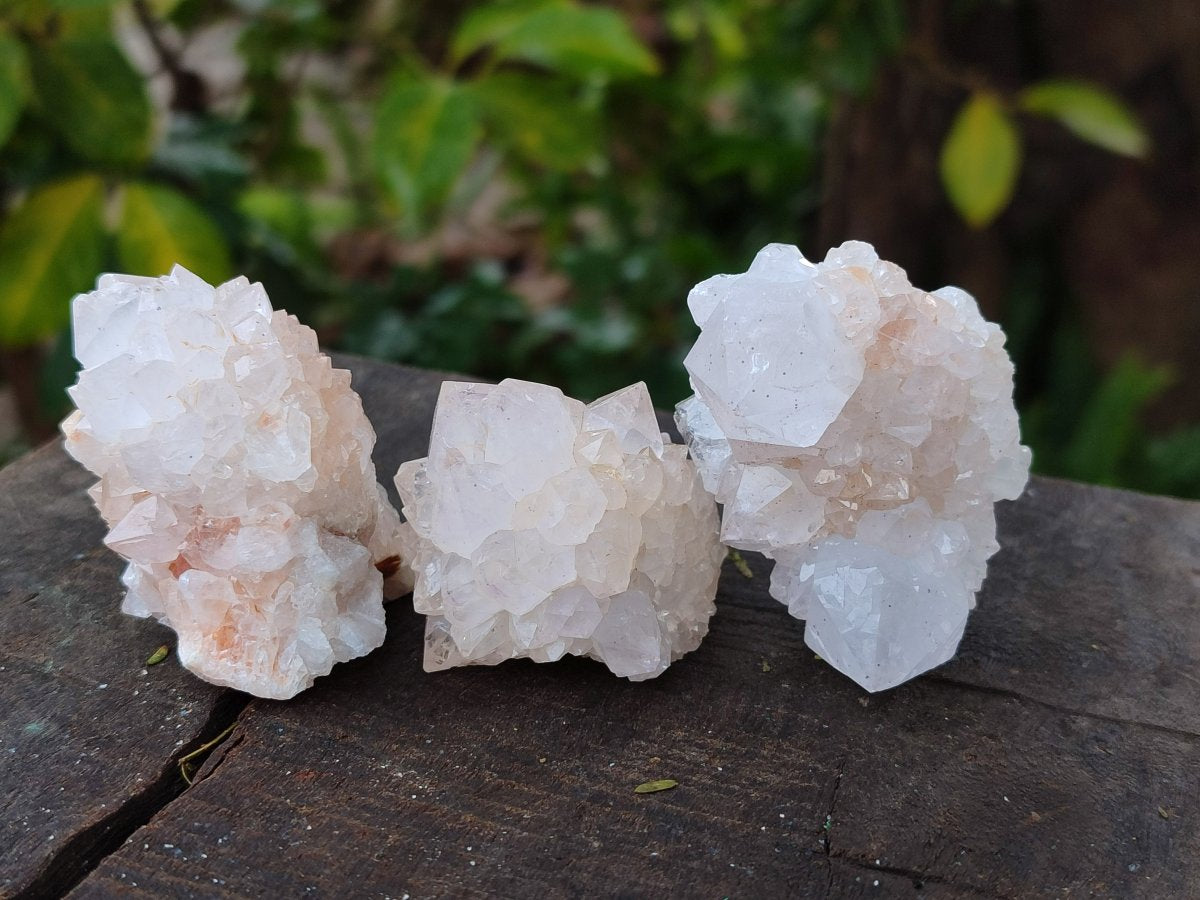 Natural Limonite Cactus Flower Spirit Quartz Crystals and Clusters x 12 From Boekenhouthoek, South Africa - Toprock Gemstones and Minerals 