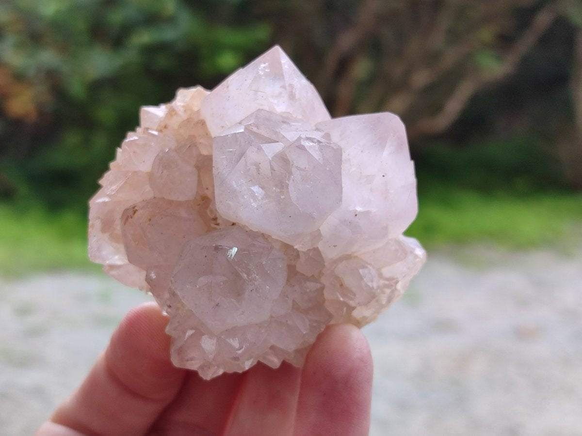 Natural Limonite Cactus Flower Spirit Quartz Crystals and Clusters x 12 From Boekenhouthoek, South Africa - Toprock Gemstones and Minerals 