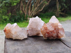 Natural Limonite Cactus Flower Spirit Quartz Crystals and Clusters x 12 From Boekenhouthoek, South Africa - Toprock Gemstones and Minerals 