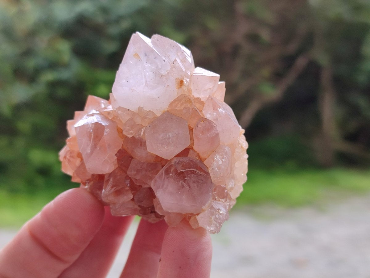 Natural Limonite Cactus Flower Spirit Quartz Crystals and Clusters x 12 From Boekenhouthoek, South Africa - Toprock Gemstones and Minerals 