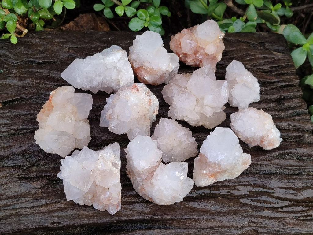 Natural Limonite Cactus Flower Spirit Quartz Crystals and Clusters x 12 From Boekenhouthoek, South Africa - Toprock Gemstones and Minerals 