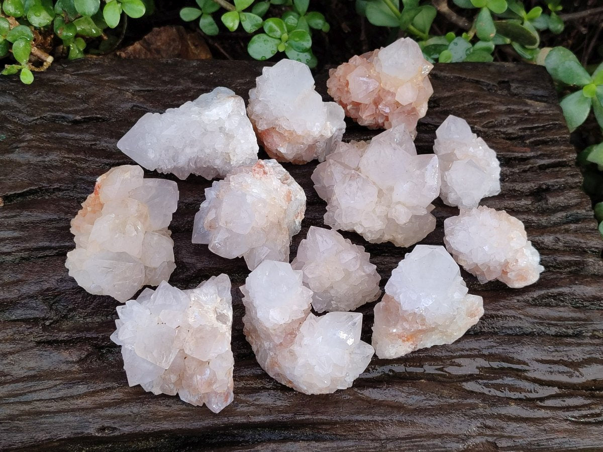 Natural Limonite Cactus Flower Spirit Quartz Crystals and Clusters x 12 From Boekenhouthoek, South Africa - Toprock Gemstones and Minerals 