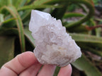 Natural Limonite Cactus Flower Spirit Quartz Crystals and Clusters x 12 From Boekenhouthoek, South Africa - Toprock Gemstones and Minerals 