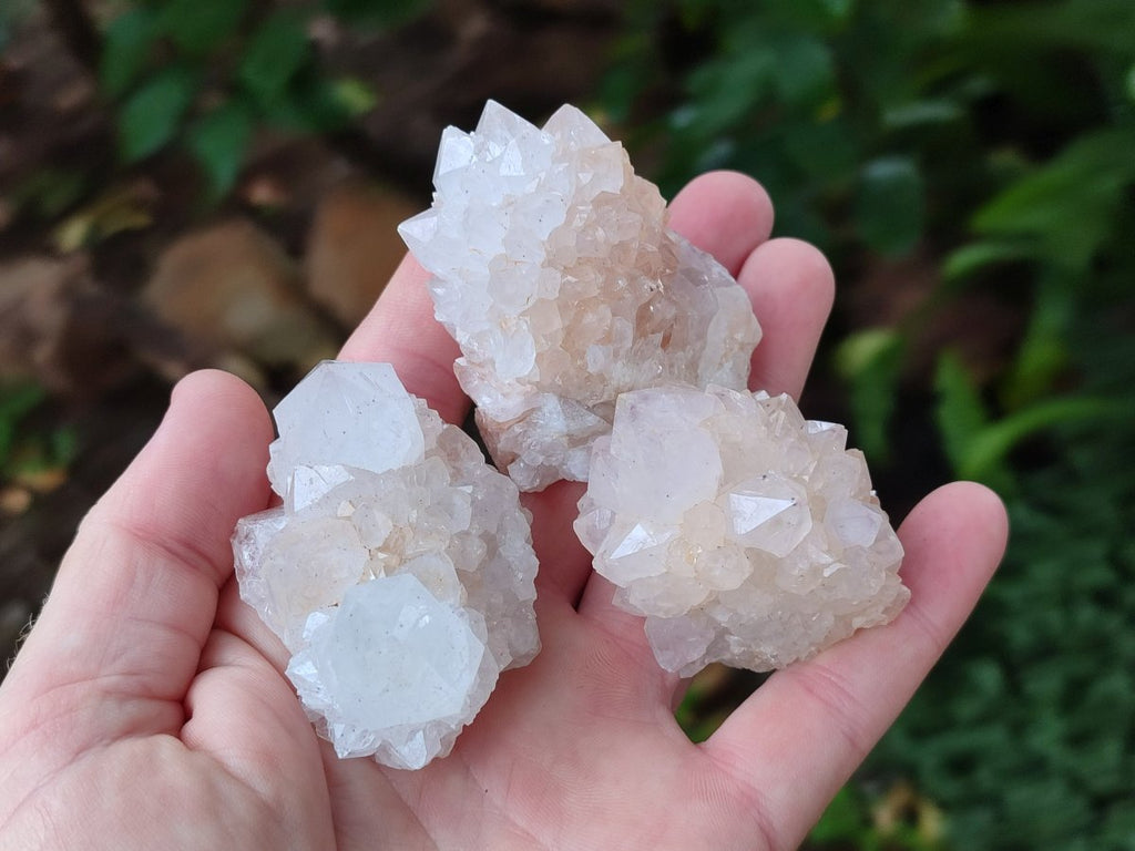Natural Limonite Cactus Flower Spirit Quartz Crystals and Clusters x 12 From Boekenhouthoek, South Africa - Toprock Gemstones and Minerals 