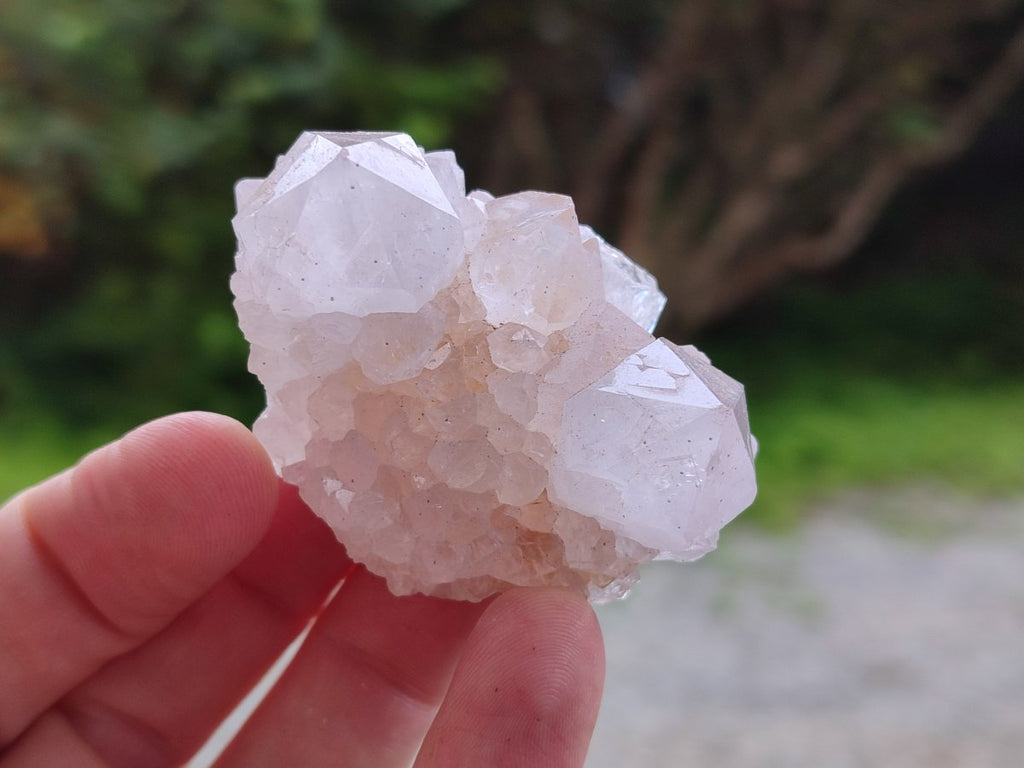 Natural Limonite Cactus Flower Spirit Quartz Crystals and Clusters x 12 From Boekenhouthoek, South Africa - Toprock Gemstones and Minerals 