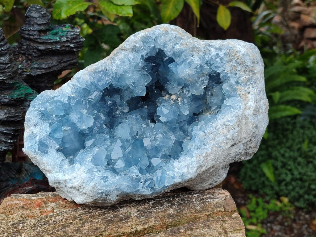 Natural Large Blue Celestite Geode Specimen x 1 From Sakoany, Madagascar - Toprock Gemstones and Minerals 