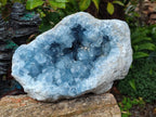 Natural Large Blue Celestite Geode Specimen x 1 From Sakoany, Madagascar - Toprock Gemstones and Minerals 