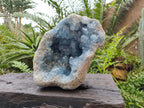 Natural Large Blue Celestite Geode Specimen x 1 From Sakoany, Madagascar - Toprock Gemstones and Minerals 
