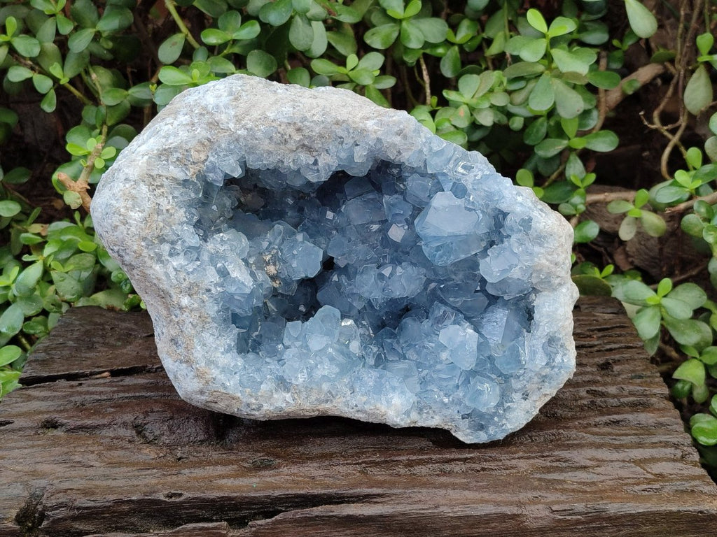 Natural Large Blue Celestite Geode Specimen x 1 From Sakoany, Madagascar - Toprock Gemstones and Minerals 