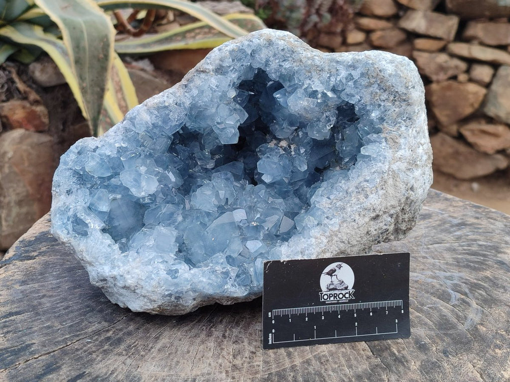 Natural Large Blue Celestite Geode Specimen x 1 From Sakoany, Madagascar - Toprock Gemstones and Minerals 