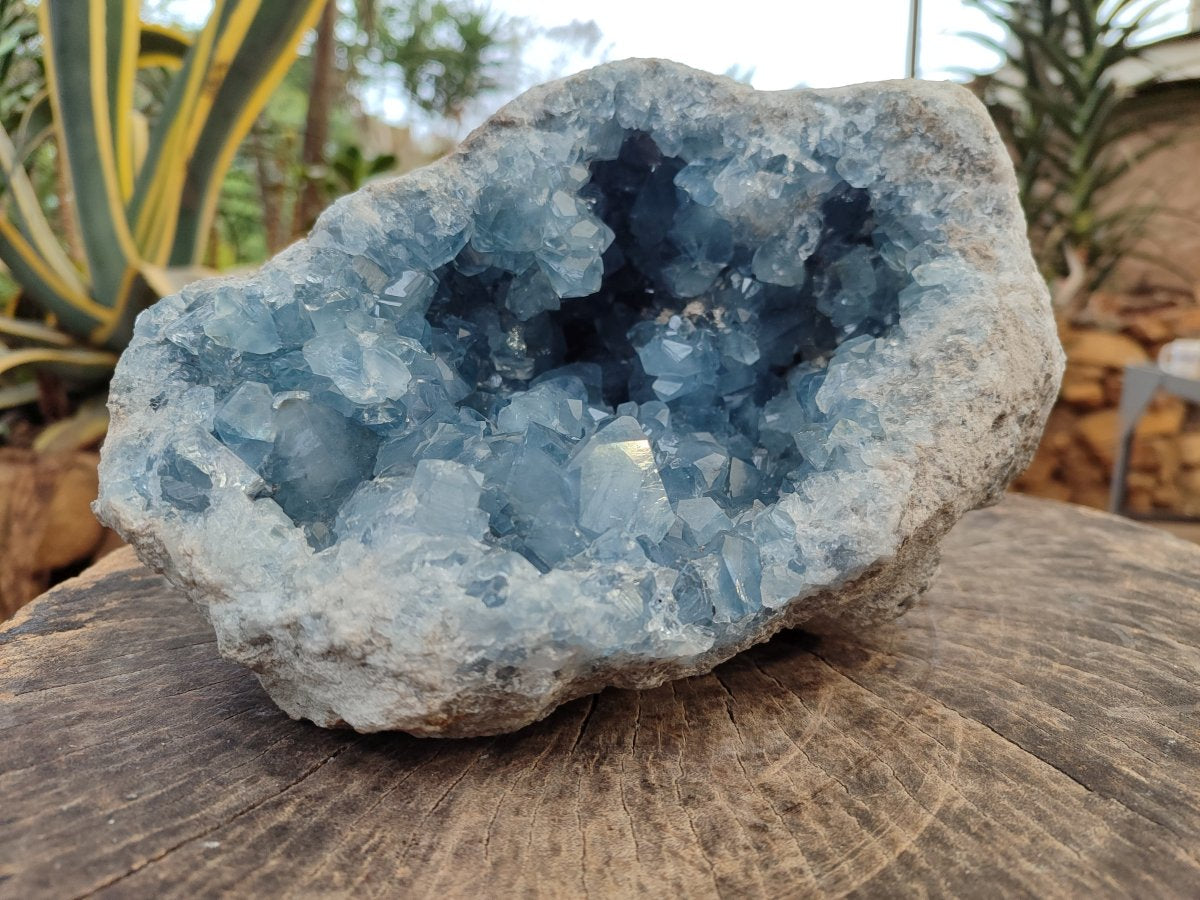 Natural Large Blue Celestite Geode Specimen x 1 From Sakoany, Madagascar - Toprock Gemstones and Minerals 