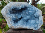 Natural Large Blue Celestite Geode Specimen x 1 From Sakoany, Madagascar - Toprock Gemstones and Minerals 