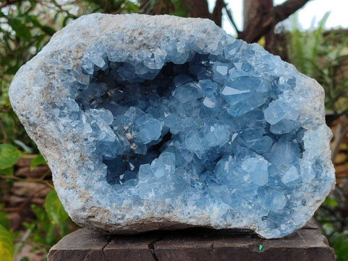 Natural Large Blue Celestite Geode Specimen x 1 From Sakoany, Madagascar - Toprock Gemstones and Minerals 