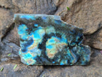 Polished One Side Labradorite Slices x 24 From Madagascar - Toprock Gemstones and Minerals 