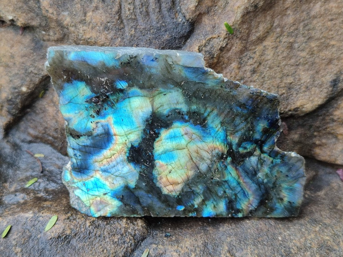 Polished One Side Labradorite Slices x 24 From Madagascar - Toprock Gemstones and Minerals 