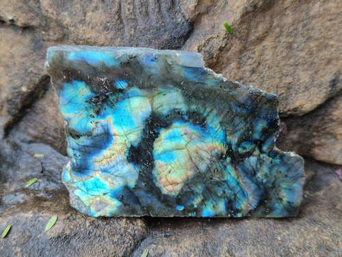 Polished One Side Labradorite Slices x 24 From Madagascar - Toprock Gemstones and Minerals 