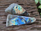Polished One Side Labradorite Slices x 24 From Madagascar - Toprock Gemstones and Minerals 