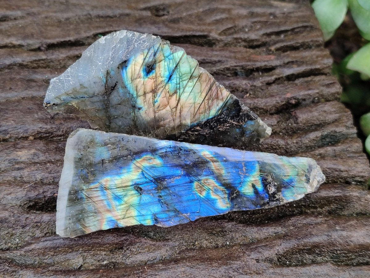 Polished One Side Labradorite Slices x 24 From Madagascar - Toprock Gemstones and Minerals 