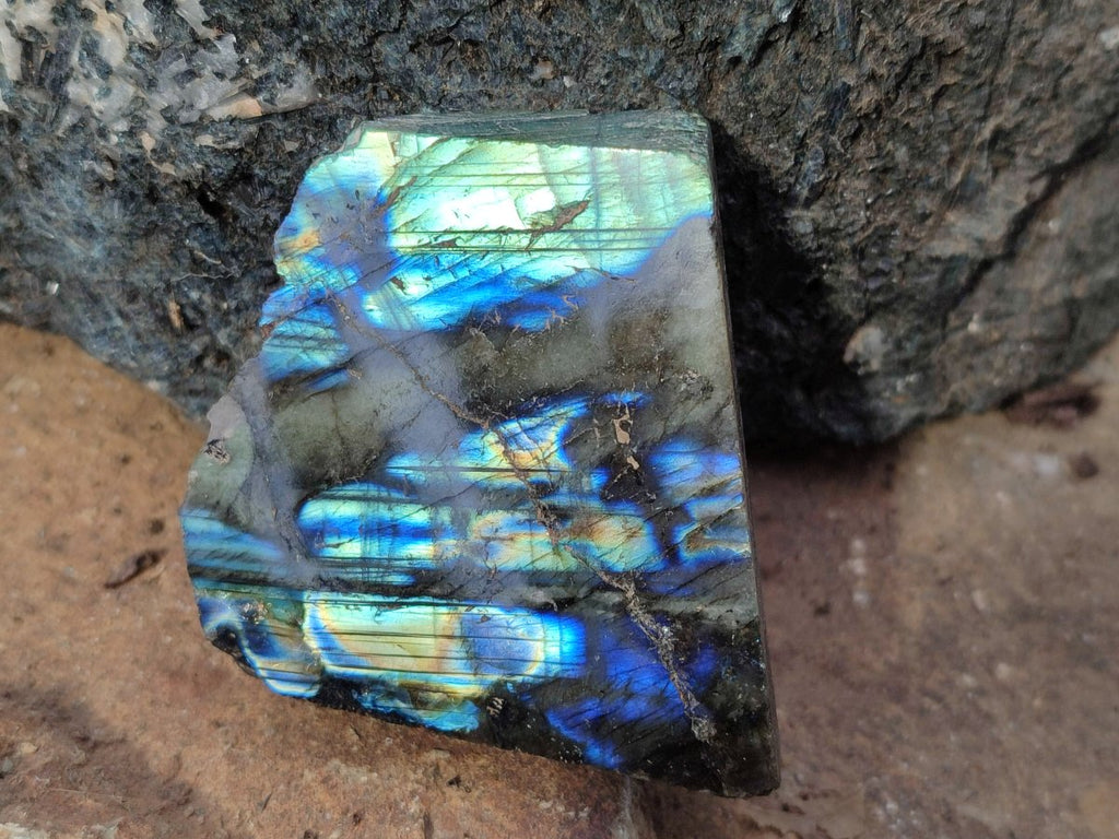 Polished One Side Labradorite Slices x 24 From Madagascar - Toprock Gemstones and Minerals 