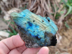 Polished One Side Labradorite Slices x 24 From Madagascar - Toprock Gemstones and Minerals 