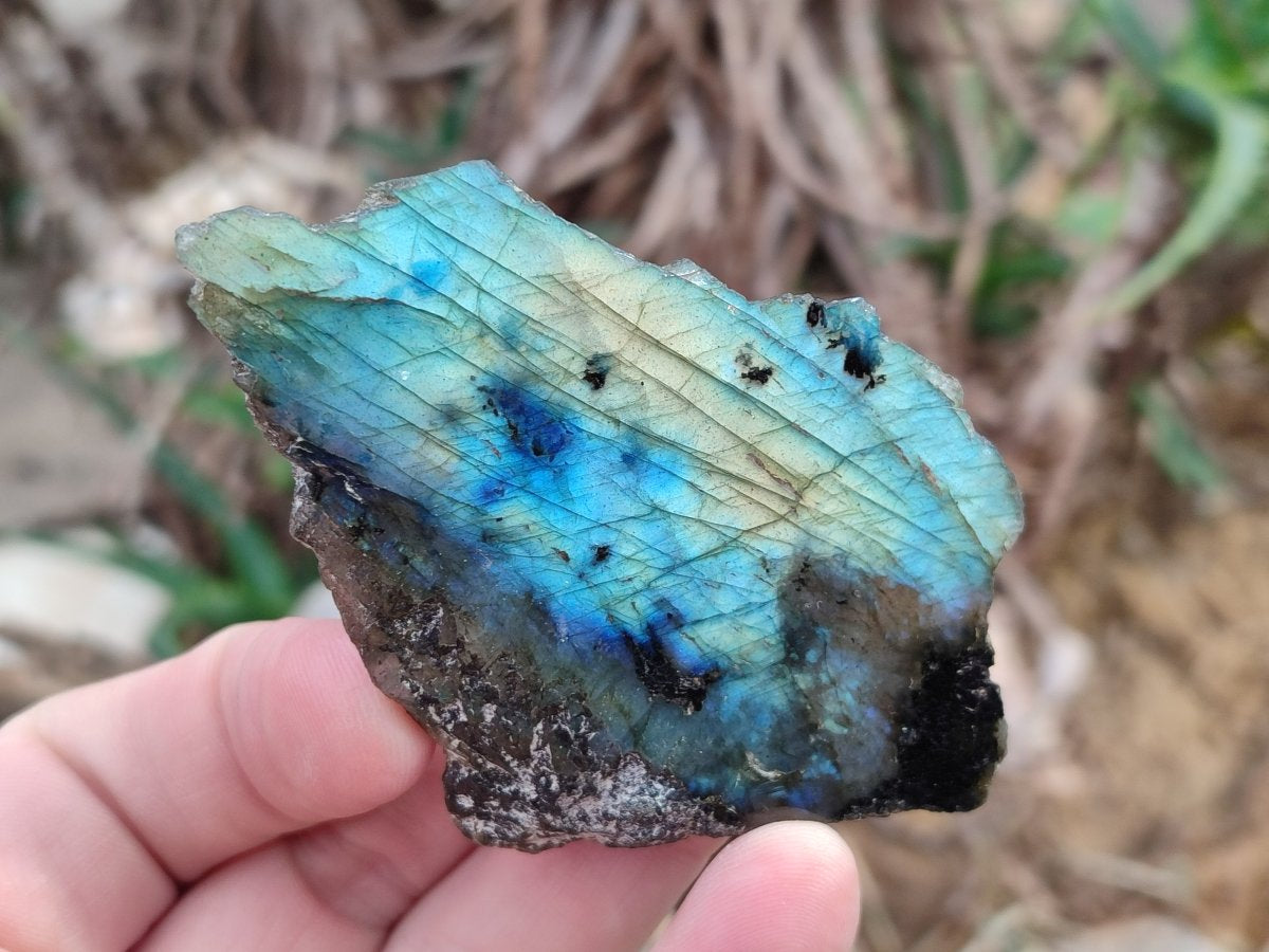 Polished One Side Labradorite Slices x 24 From Madagascar - Toprock Gemstones and Minerals 