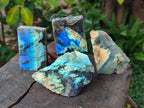 Polished One Side Labradorite Slices x 24 From Madagascar - Toprock Gemstones and Minerals 
