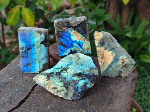 Polished One Side Labradorite Slices x 24 From Madagascar - Toprock Gemstones and Minerals 