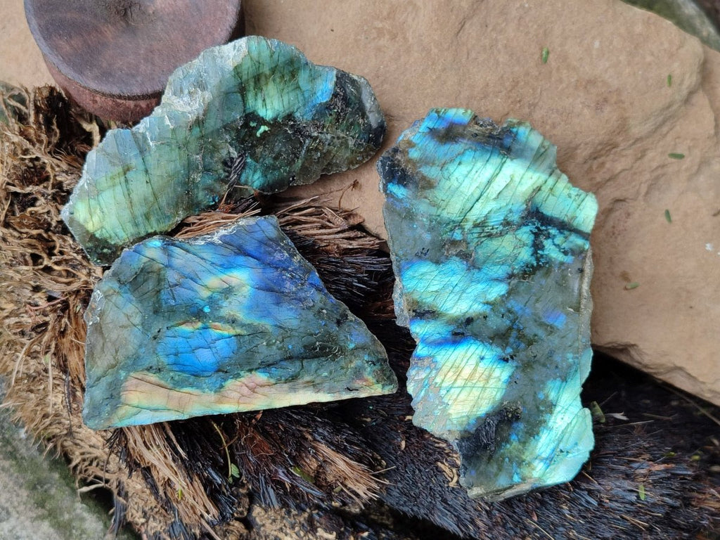 Polished One Side Labradorite Slices x 24 From Madagascar - Toprock Gemstones and Minerals 