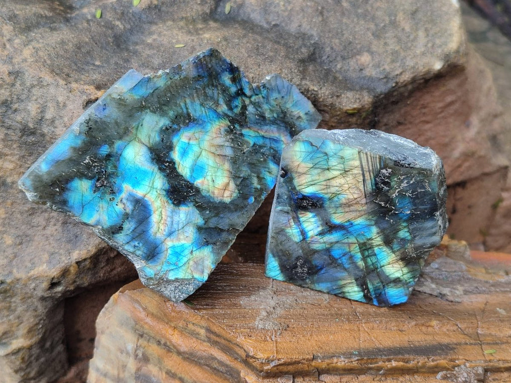 Polished One Side Labradorite Slices x 24 From Madagascar - Toprock Gemstones and Minerals 