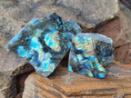 Polished One Side Labradorite Slices x 24 From Madagascar - Toprock Gemstones and Minerals 