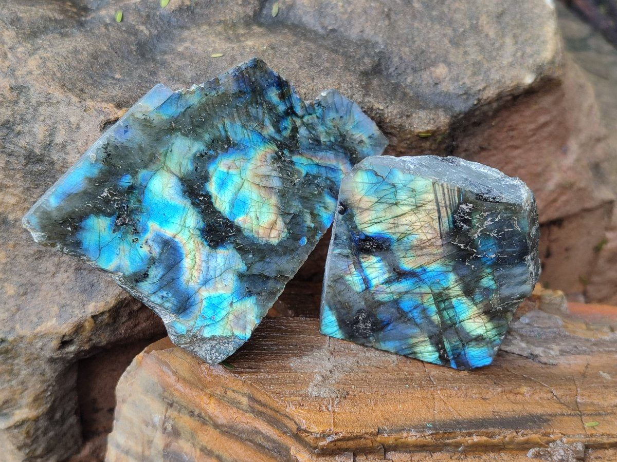 Polished One Side Labradorite Slices x 24 From Madagascar - Toprock Gemstones and Minerals 
