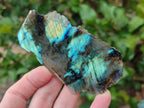 Polished One Side Labradorite Slices x 24 From Madagascar - Toprock Gemstones and Minerals 