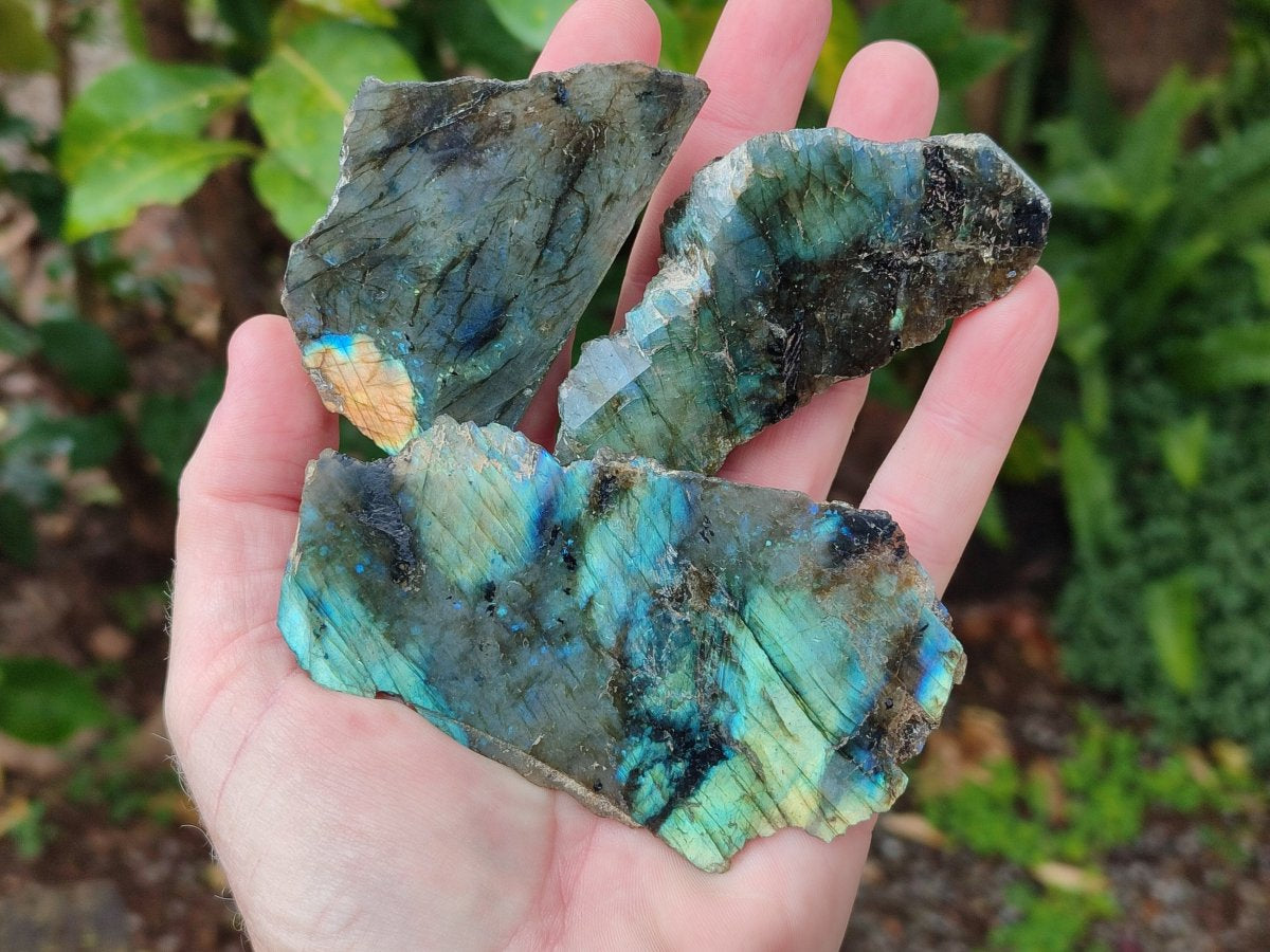 Polished One Side Labradorite Slices x 24 From Madagascar - Toprock Gemstones and Minerals 