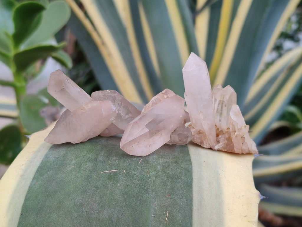 Natural Madagascar Quartz Crystal Clusters x 46 From Madagascar - Toprock Gemstones and Minerals 