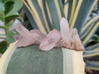 Natural Madagascar Quartz Crystal Clusters x 46 From Madagascar - Toprock Gemstones and Minerals 