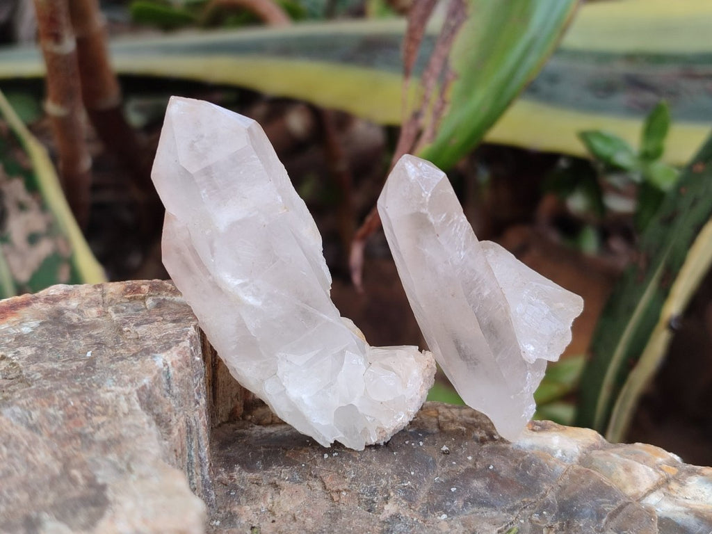 Natural Madagascar Quartz Crystal Clusters x 46 From Madagascar - Toprock Gemstones and Minerals 