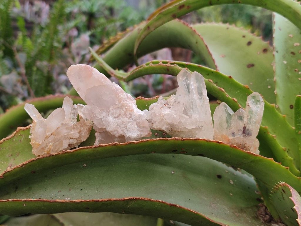 Natural Madagascar Quartz Crystal Clusters x 46 From Madagascar - Toprock Gemstones and Minerals 