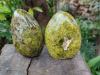 Polished Green Opal Standing Display Pieces x 3 From Betroka, Madagascar - Toprock Gemstones and Minerals 