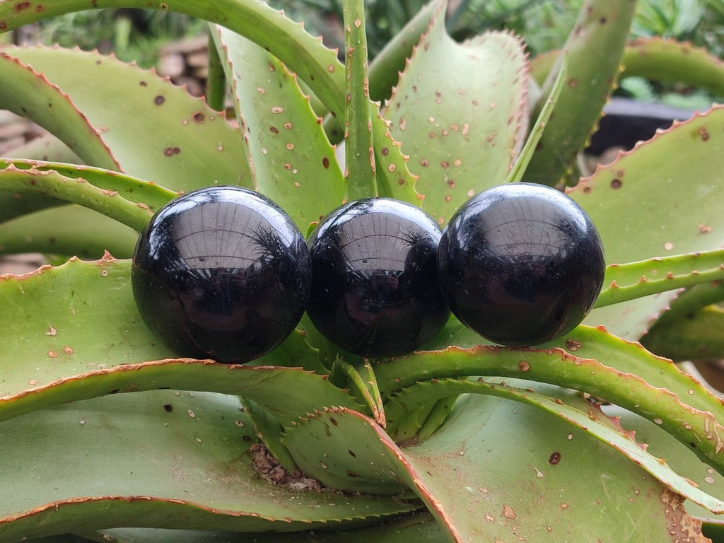 Polished Black Basalt Spheres x 6 From Madagascar - Toprock Gemstones and Minerals 