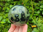 Polished Stromatolite Spheres x 3 From Katsepy, Madagascar - Toprock Gemstones and Minerals 