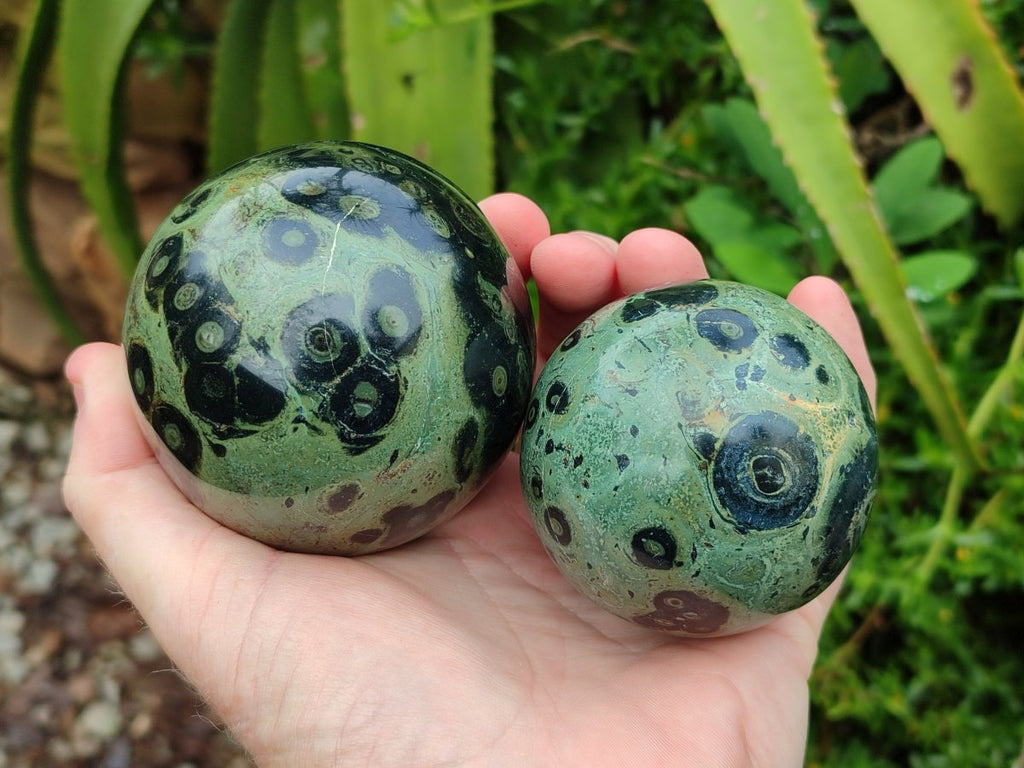 Polished Stromatolite Spheres x 3 From Katsepy, Madagascar - Toprock Gemstones and Minerals 