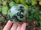 Polished Stromatolite Spheres x 3 From Katsepy, Madagascar - Toprock Gemstones and Minerals 