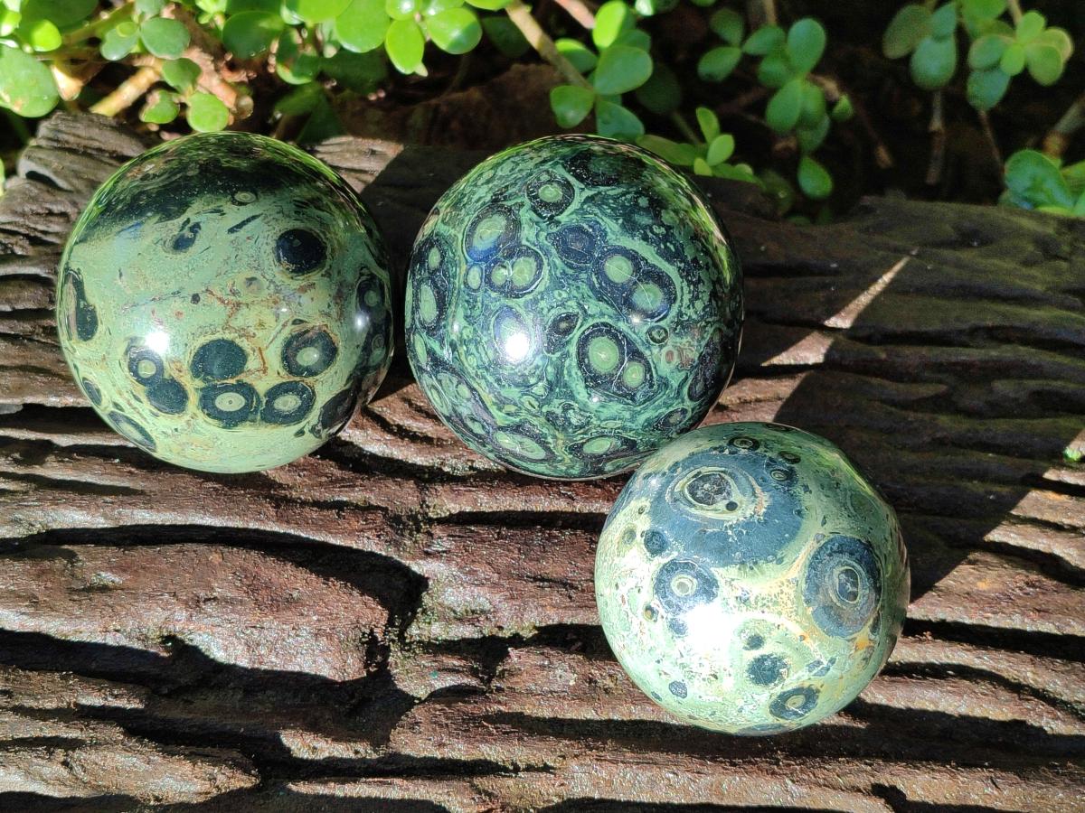 Polished Stromatolite Spheres x 3 From Katsepy, Madagascar - Toprock Gemstones and Minerals 